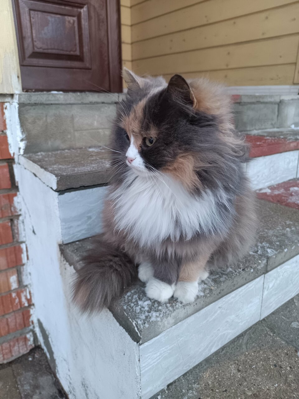 Отель Дом на Гражданской Углич-137