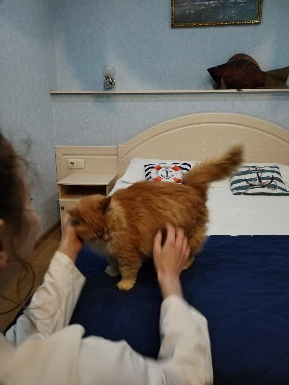 Отель Дом на Гражданской Углич-170