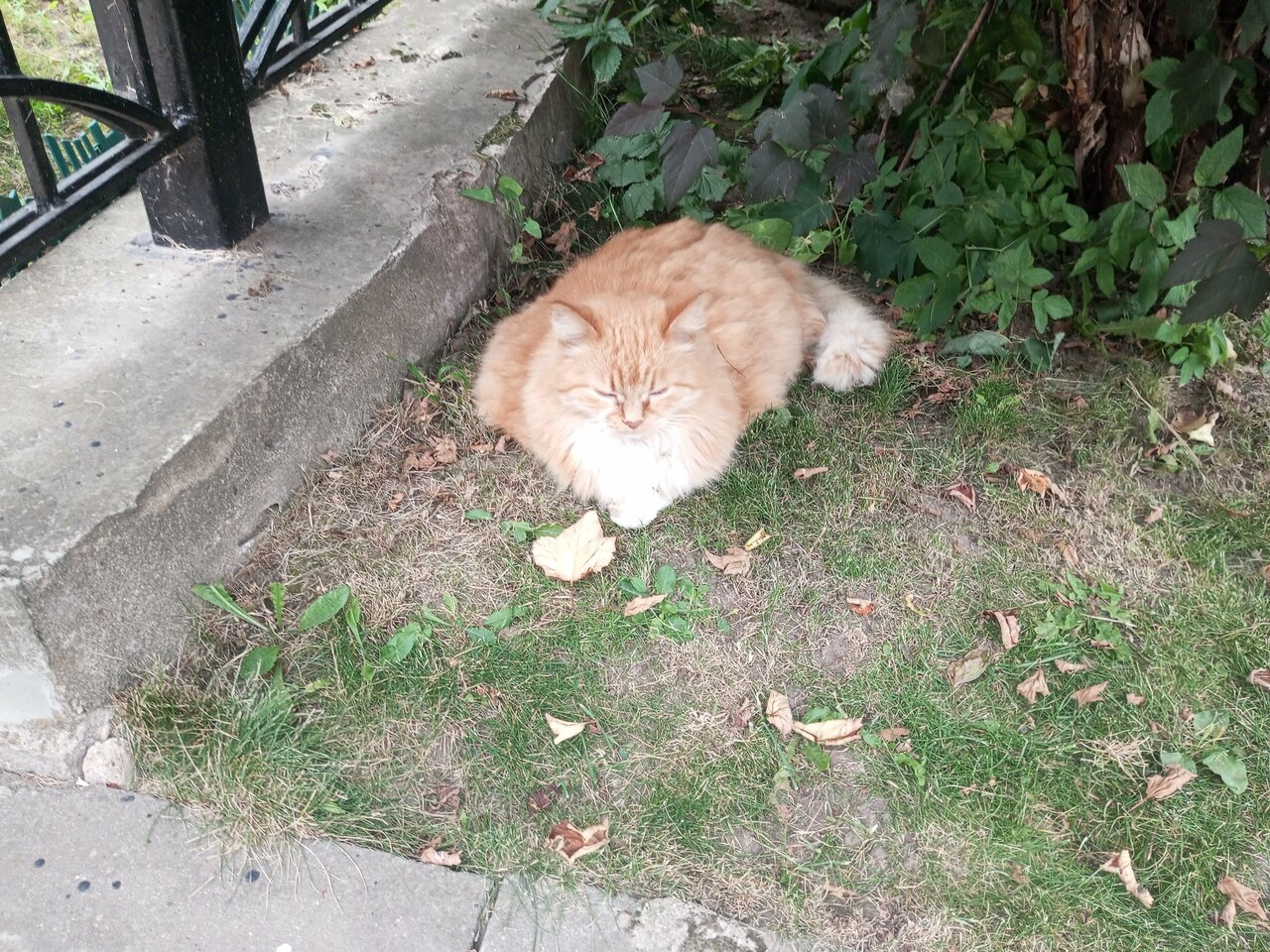 Отель Дом на Гражданской Углич-158