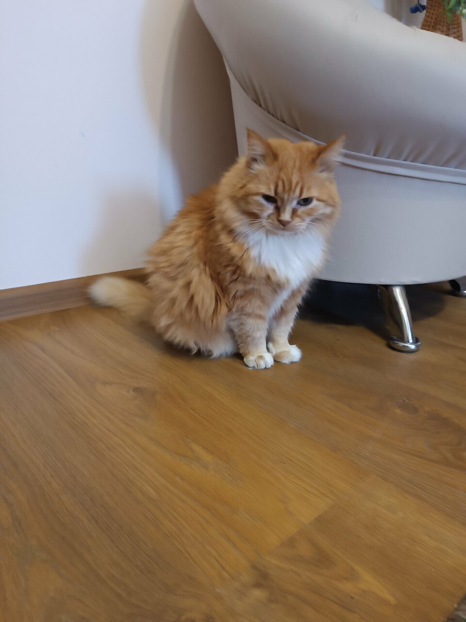 Отель Дом на Гражданской Углич