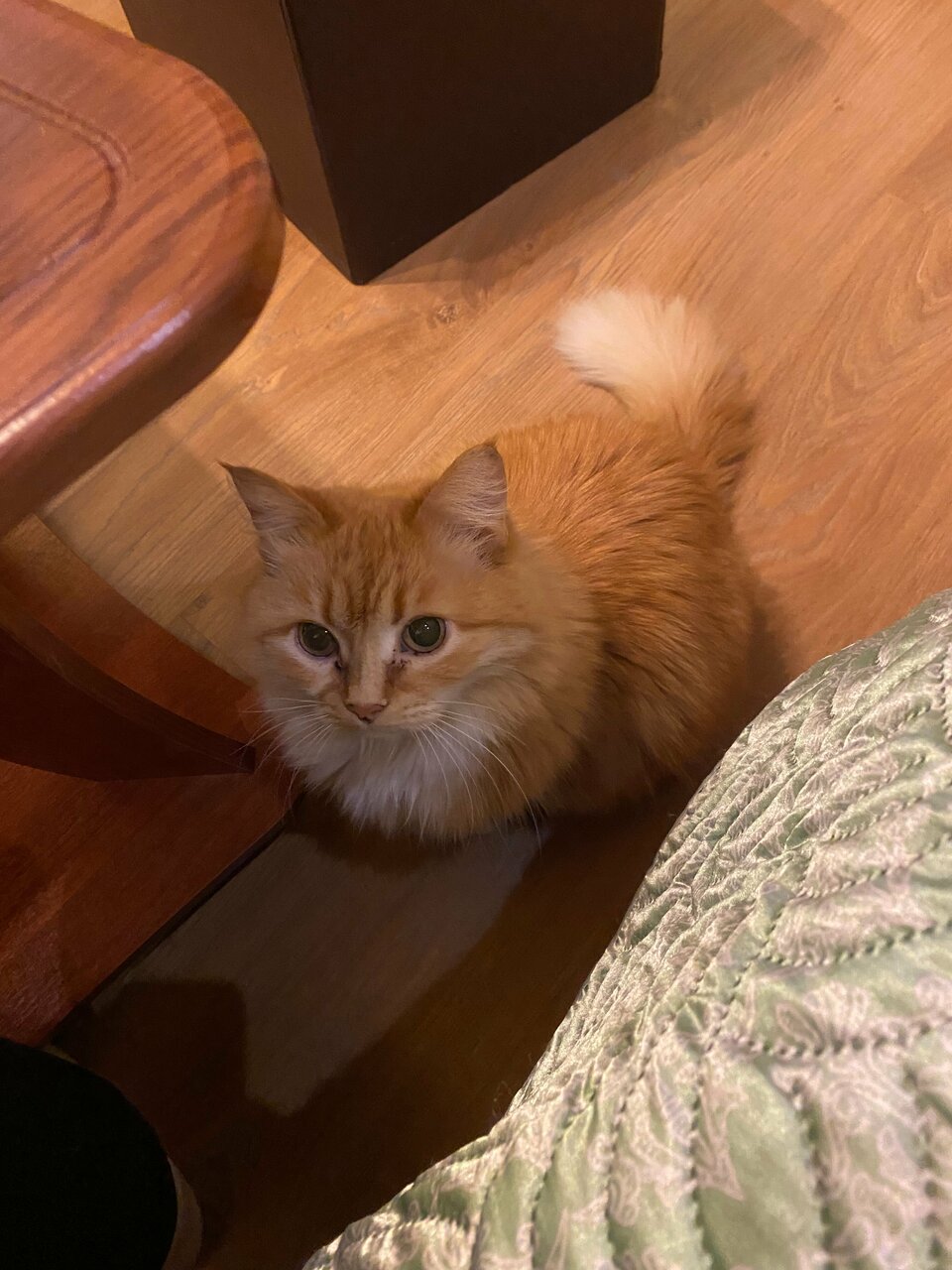 Отель Дом на Гражданской Углич-168