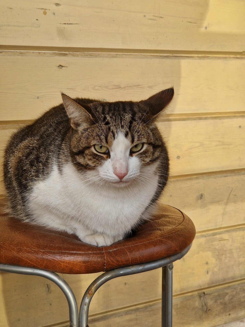 Отель Дом на Гражданской Углич-146