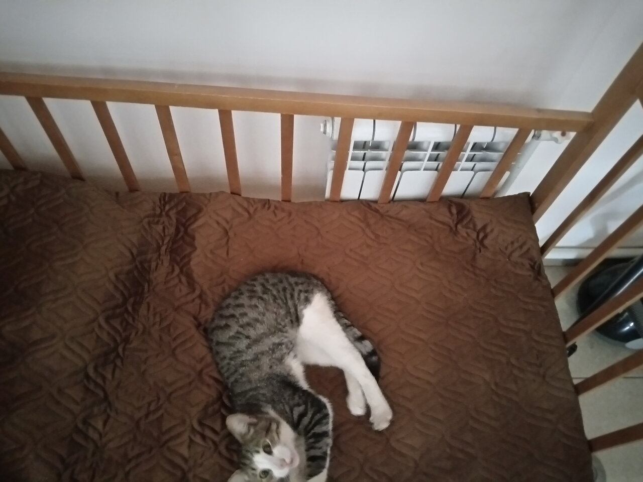 Отель Дом на Гражданской Углич