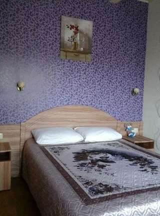 Отель Дом на Гражданской Углич Комната стандарт с 1 двуспальной кроватью-1