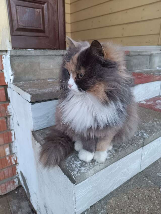 Отель Дом на Гражданской Углич-136