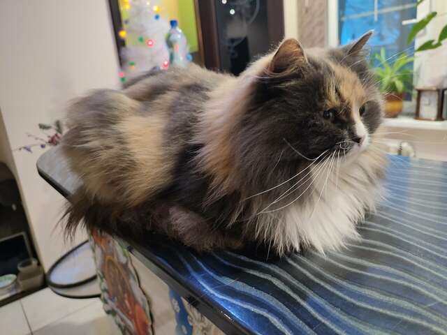 Отель Дом на Гражданской Углич-175