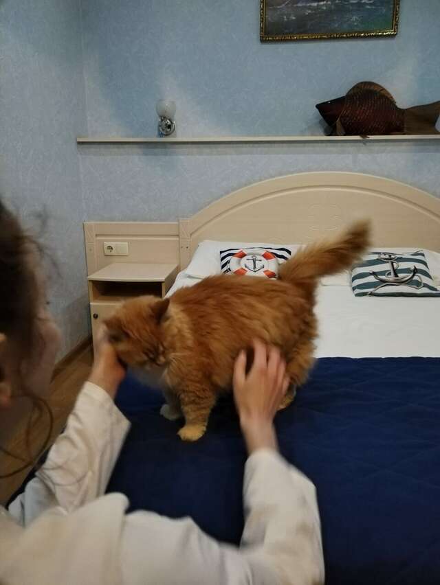 Отель Дом на Гражданской Углич-169