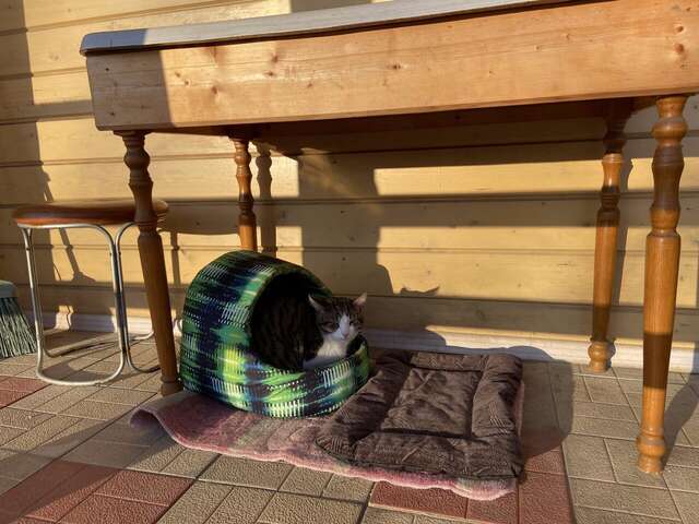 Отель Дом на Гражданской Углич-141