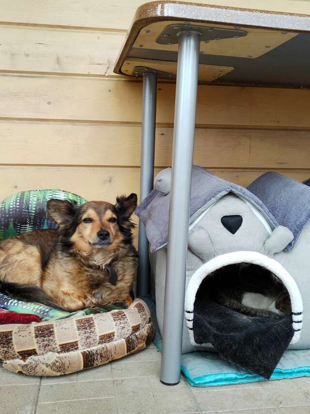 Отель Дом на Гражданской Углич-162