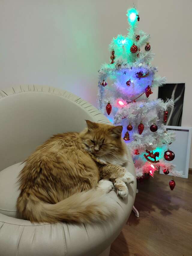 Отель Дом на Гражданской Углич-173