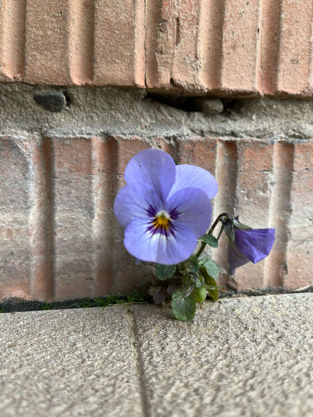Отель Дом на Гражданской Углич-120
