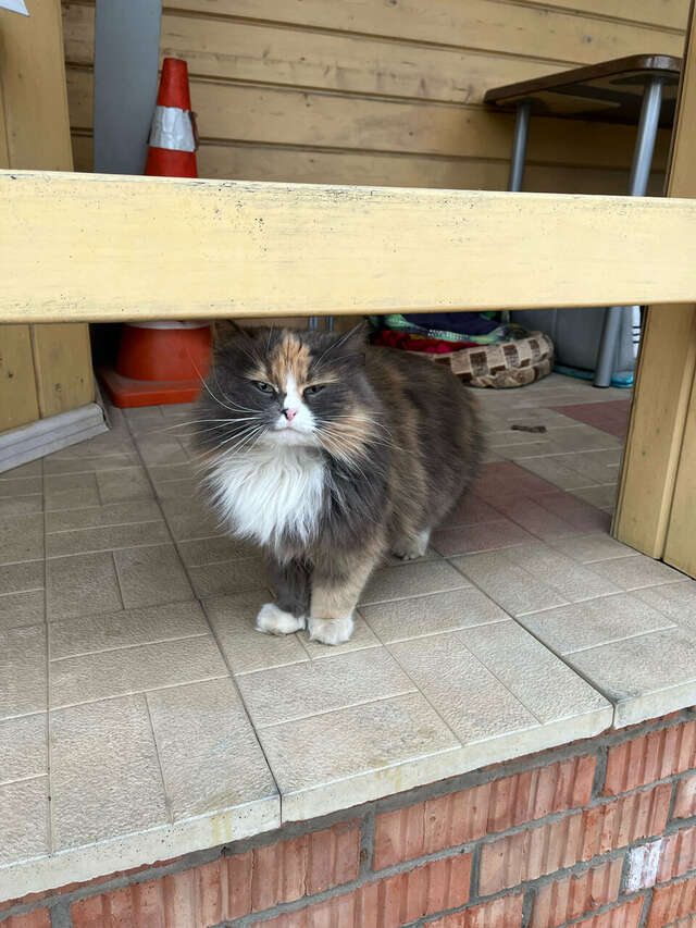 Отель Дом на Гражданской Углич-191