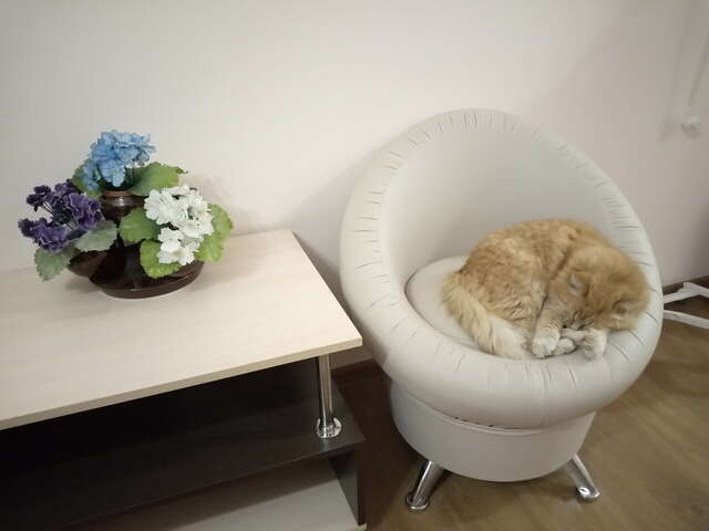 Отель Дом на Гражданской Углич-183