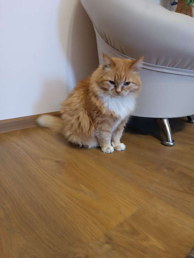 Отель Дом на Гражданской Углич-192