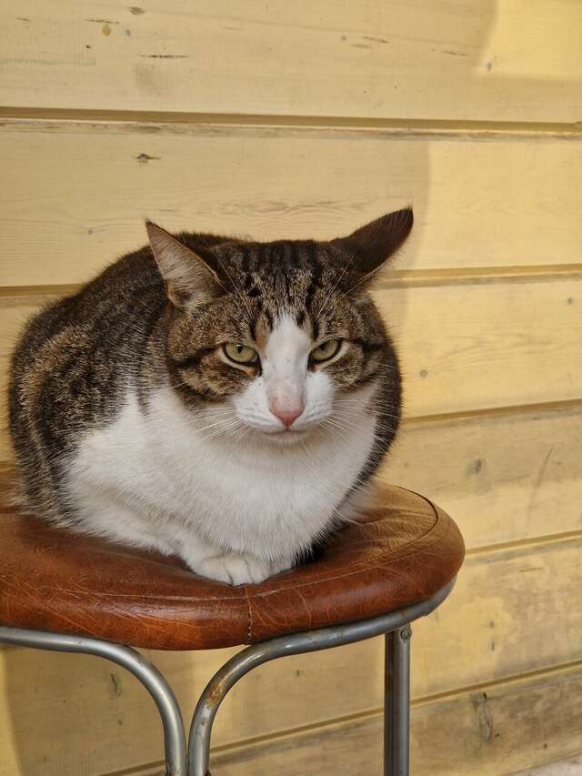 Отель Дом на Гражданской Углич-145