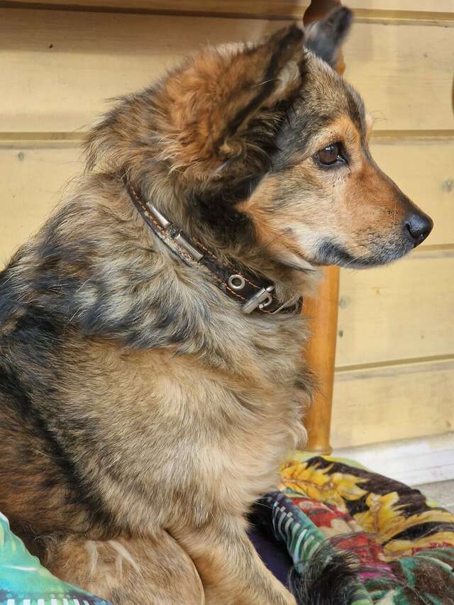 Отель Дом на Гражданской Углич-118