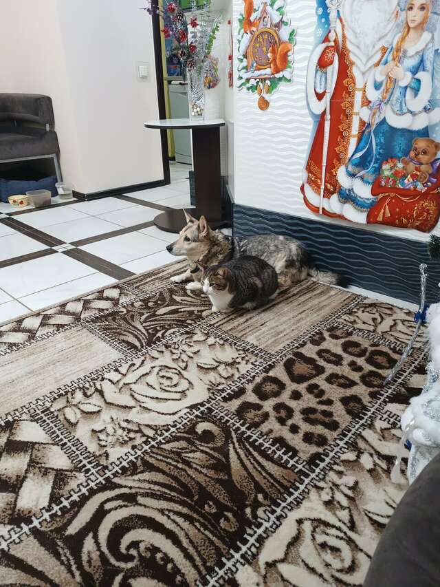 Отель Дом на Гражданской Углич-152