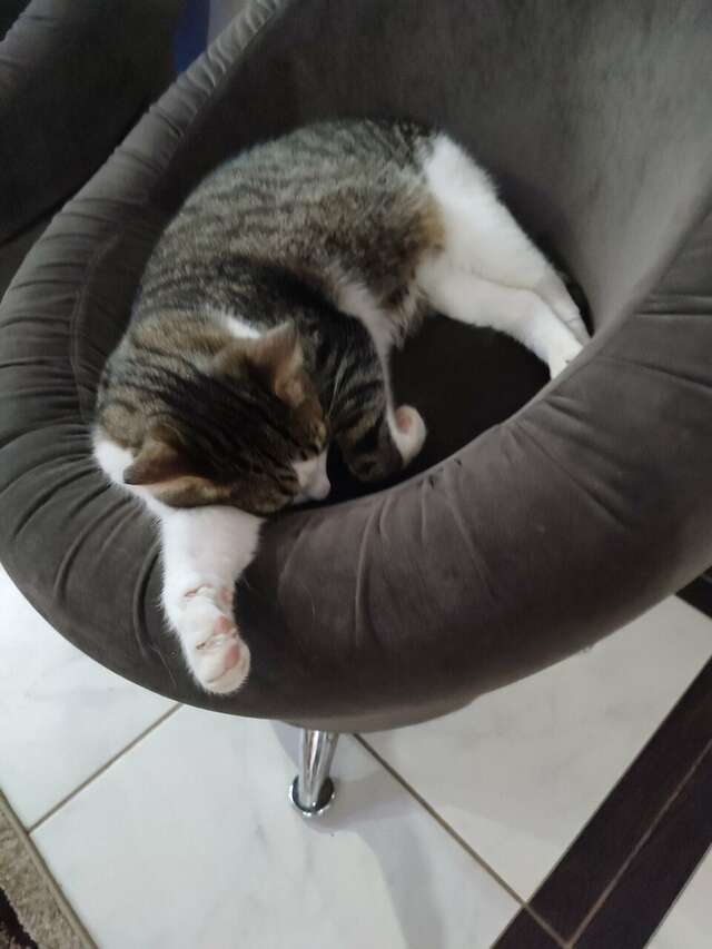 Отель Дом на Гражданской Углич-177