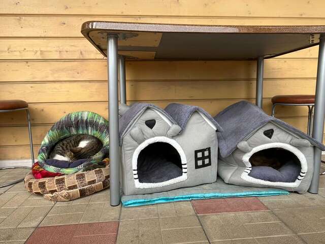 Отель Дом на Гражданской Углич-107